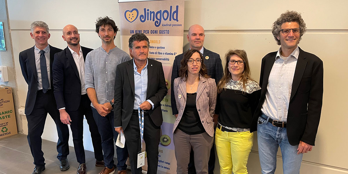 Jingold: approfondimento sulla filiera del kiwi giallo in Emilia-Romagna